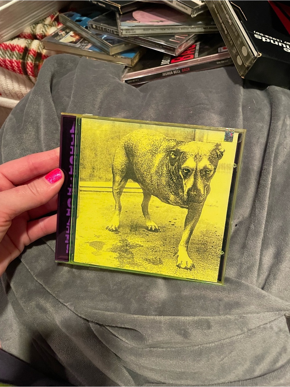Vintage 90s Alice In Chains self titled cd